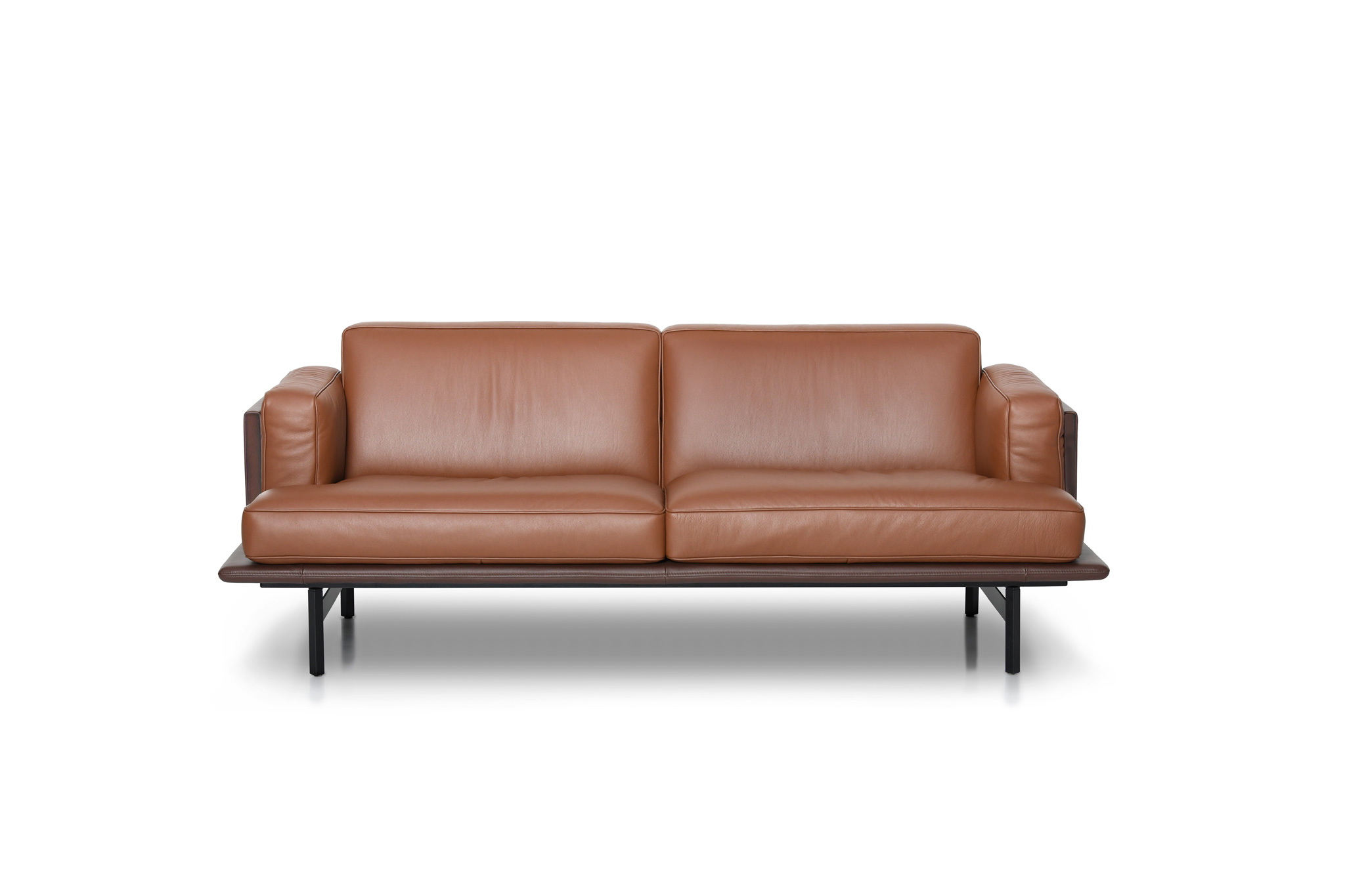 DS-175 Linear Sofa